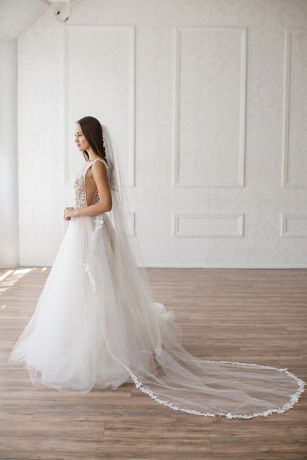 Venice Lace Veil with Rhinestones | David's Bridal